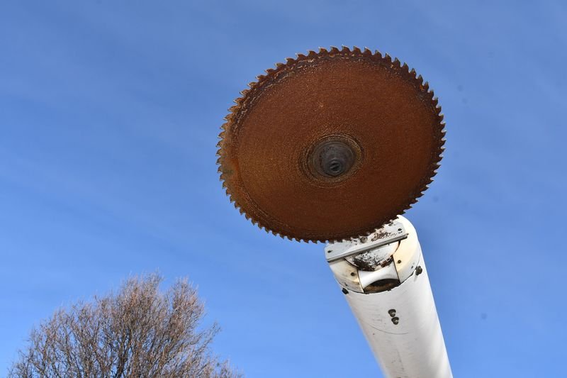 DSC_7351.jpg
